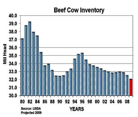 beef cow inventory