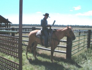 cowboy-with-laptop