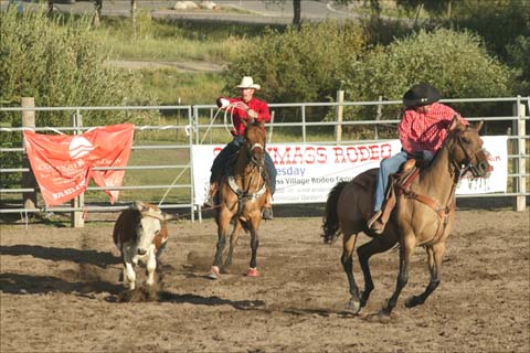 calf-roping-rodeo