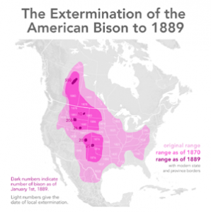 extermination_of_bison_to_1889