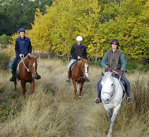 trail riding 3