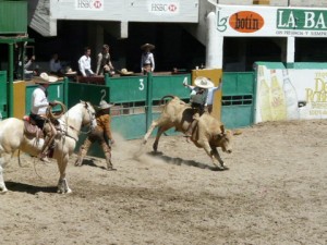 2105453-Charreada-en-Lienzo-Charro-de-Jalisco-Guadalajara-0