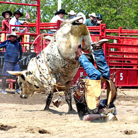 Bull Riding VII.small