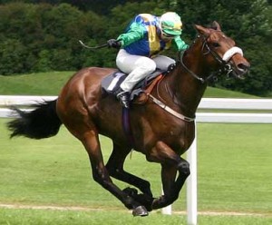 ThoroughbredHorse-racing