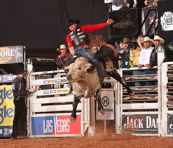 Pbr Guilherme Marchi