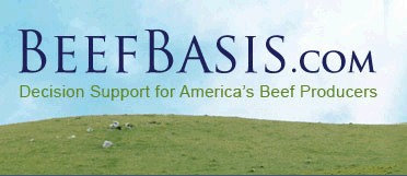 beefbasis_A