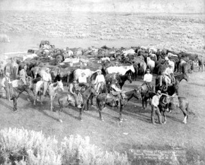 group-of-cowboys