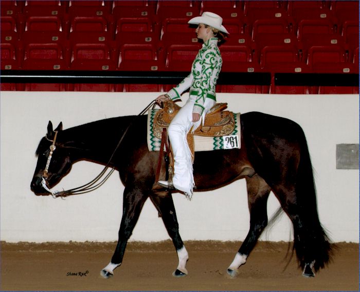 Western Pleasure Horse Competitions – Richard Beal