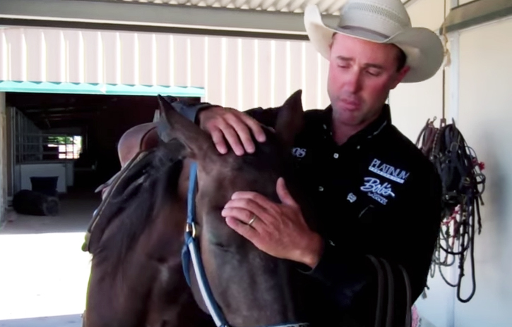 Jake Telford – Lowering Horses Head For Bridling – Richard Beal