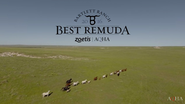 2016 Zoetis AQHA Best Remuda Award Winner: Bartlett Ranch – Richard Beal